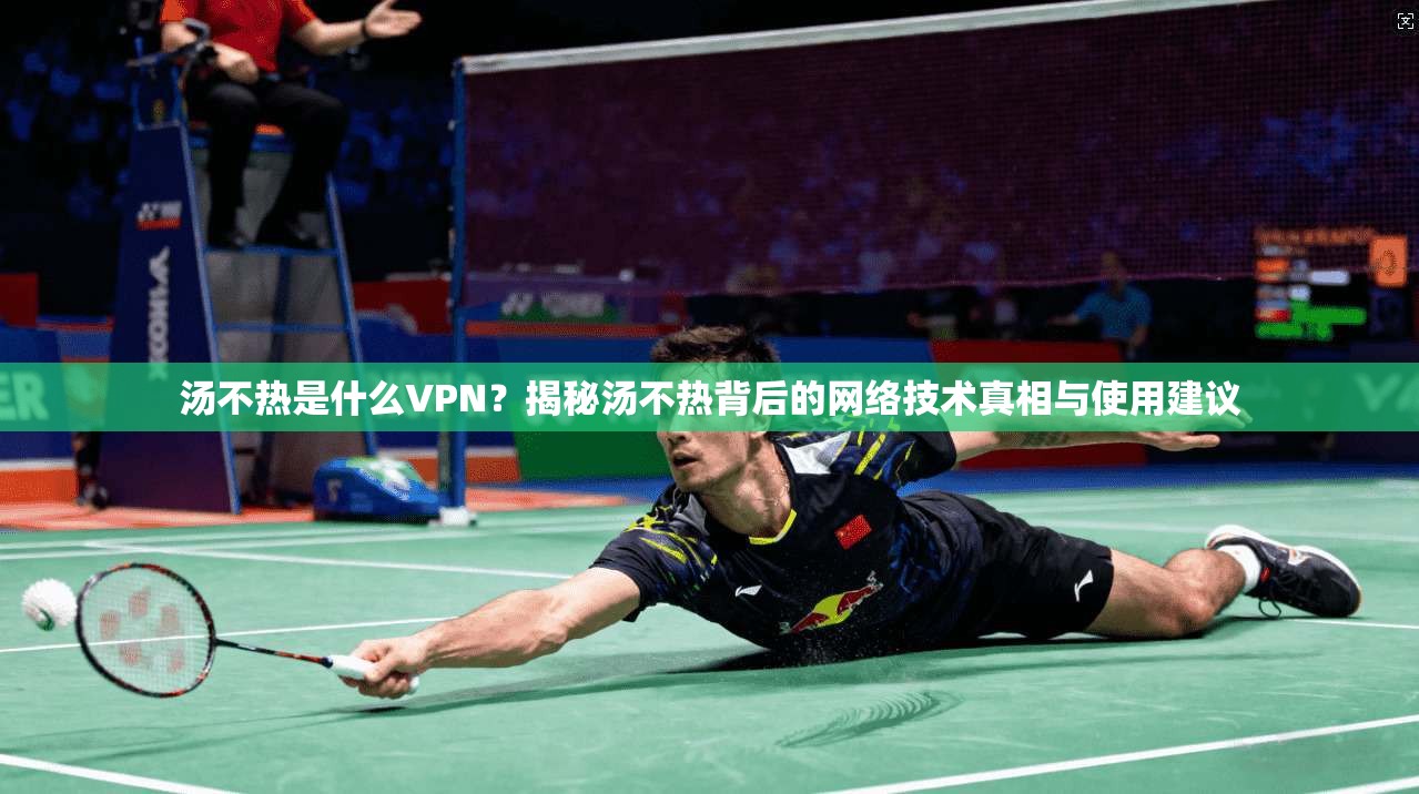 汤不热是什么VPN？揭秘汤不热背后的网络技术真相与使用建议