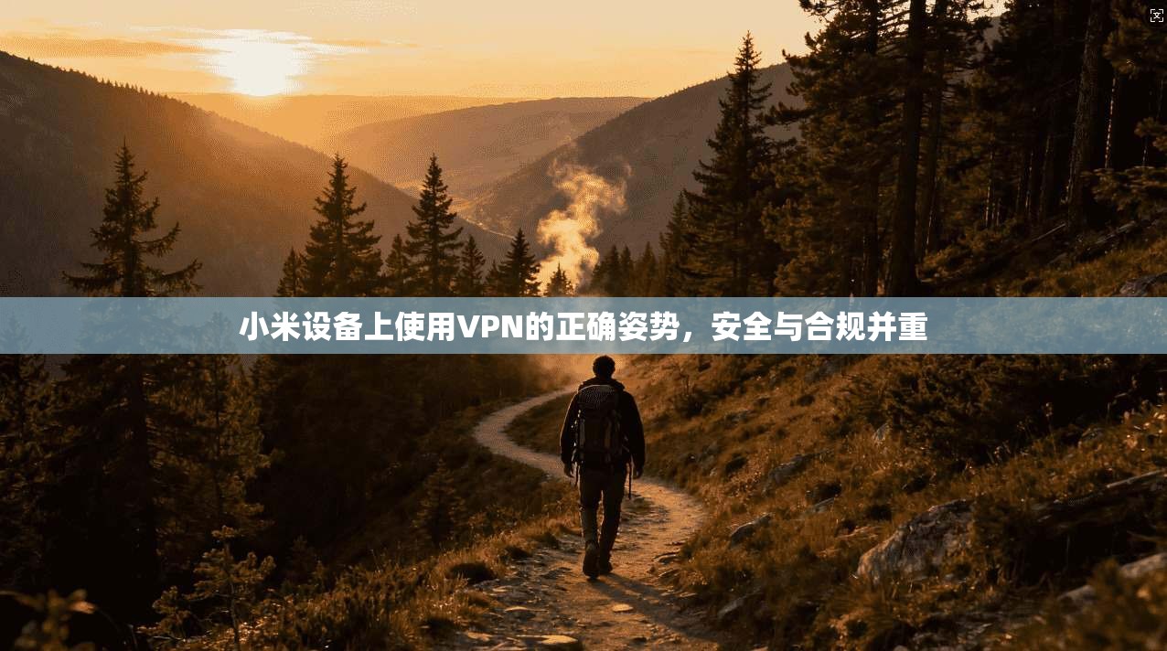 小米设备上使用VPN的正确姿势，安全与合规并重