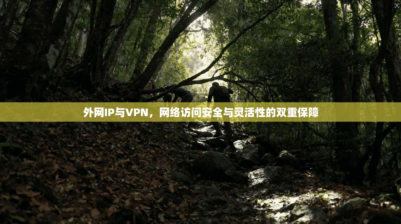 外网IP与VPN，网络访问安全与灵活性的双重保障