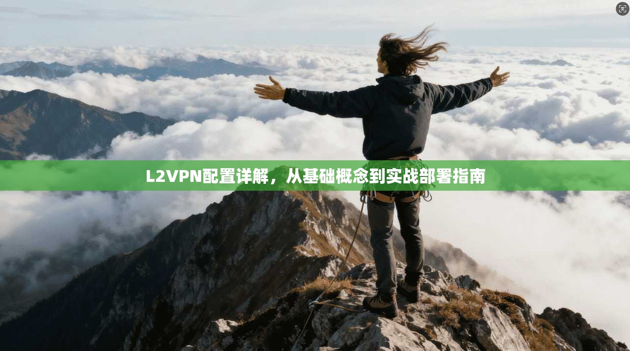 L2VPN配置详解，从基础概念到实战部署指南