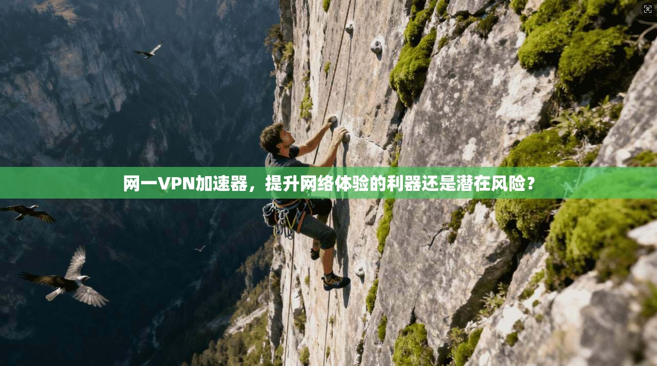 网一VPN加速器，提升网络体验的利器还是潜在风险？