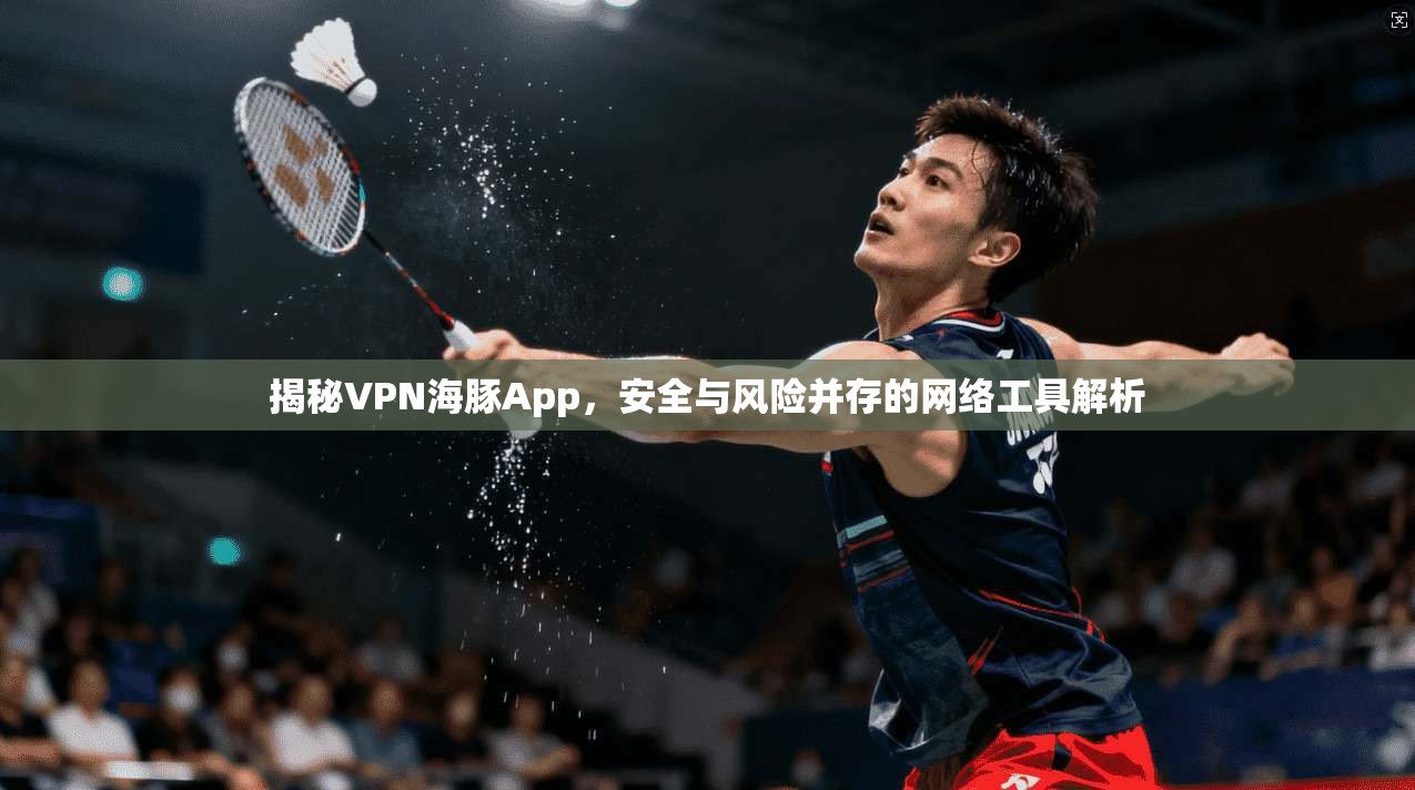 揭秘VPN海豚App，安全与风险并存的网络工具解析