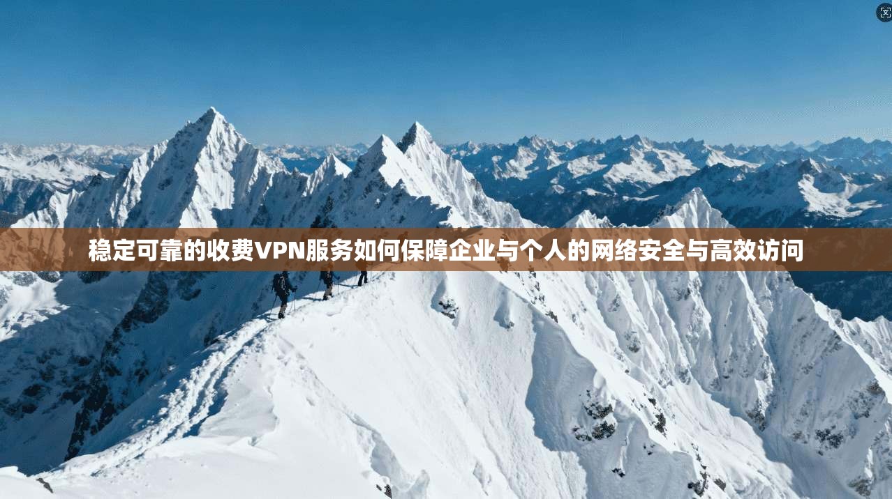 稳定可靠的收费VPN服务如何保障企业与个人的网络安全与高效访问