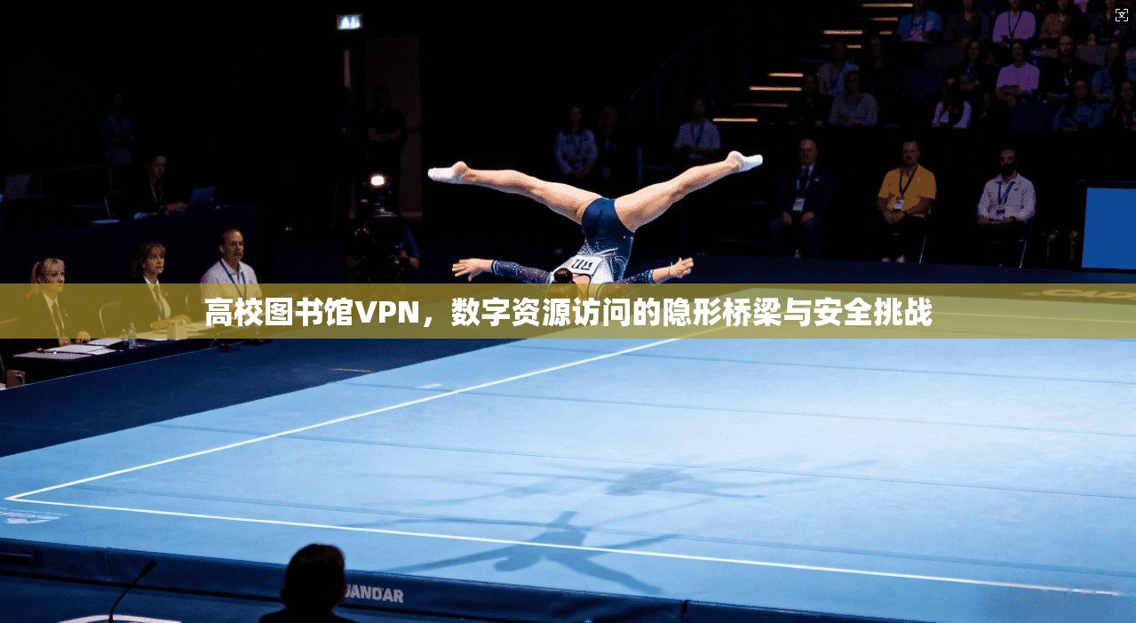 高校图书馆VPN，数字资源访问的隐形桥梁与安全挑战