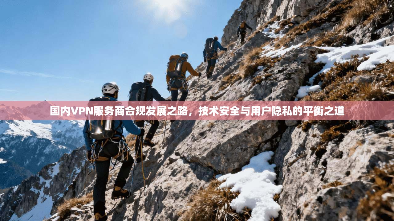 国内VPN服务商合规发展之路，技术安全与用户隐私的平衡之道