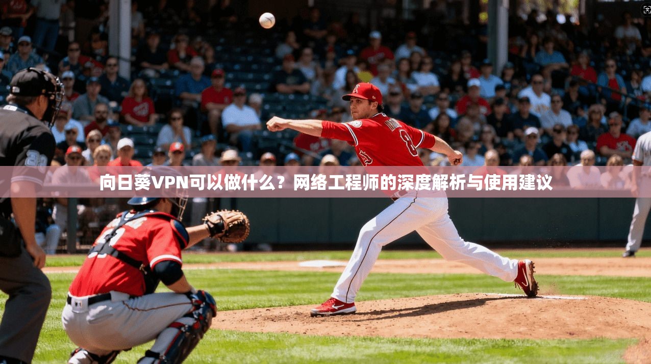 向日葵VPN可以做什么？网络工程师的深度解析与使用建议