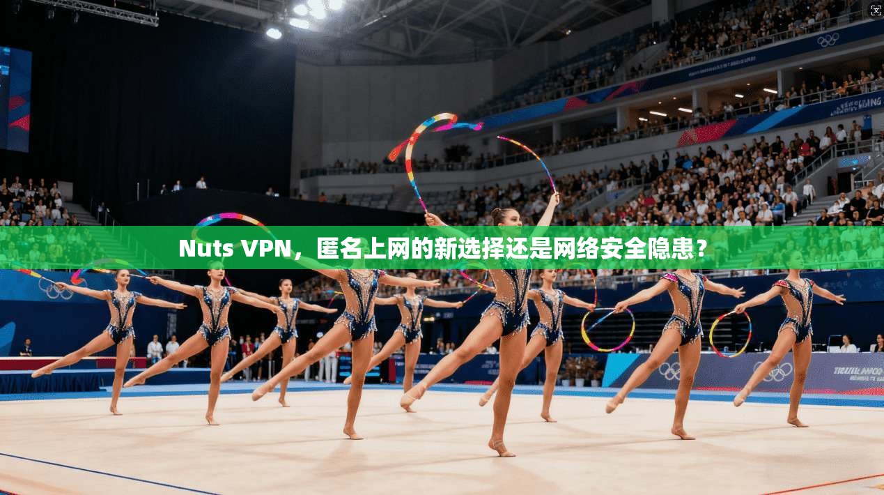 Nuts VPN，匿名上网的新选择还是网络安全隐患？