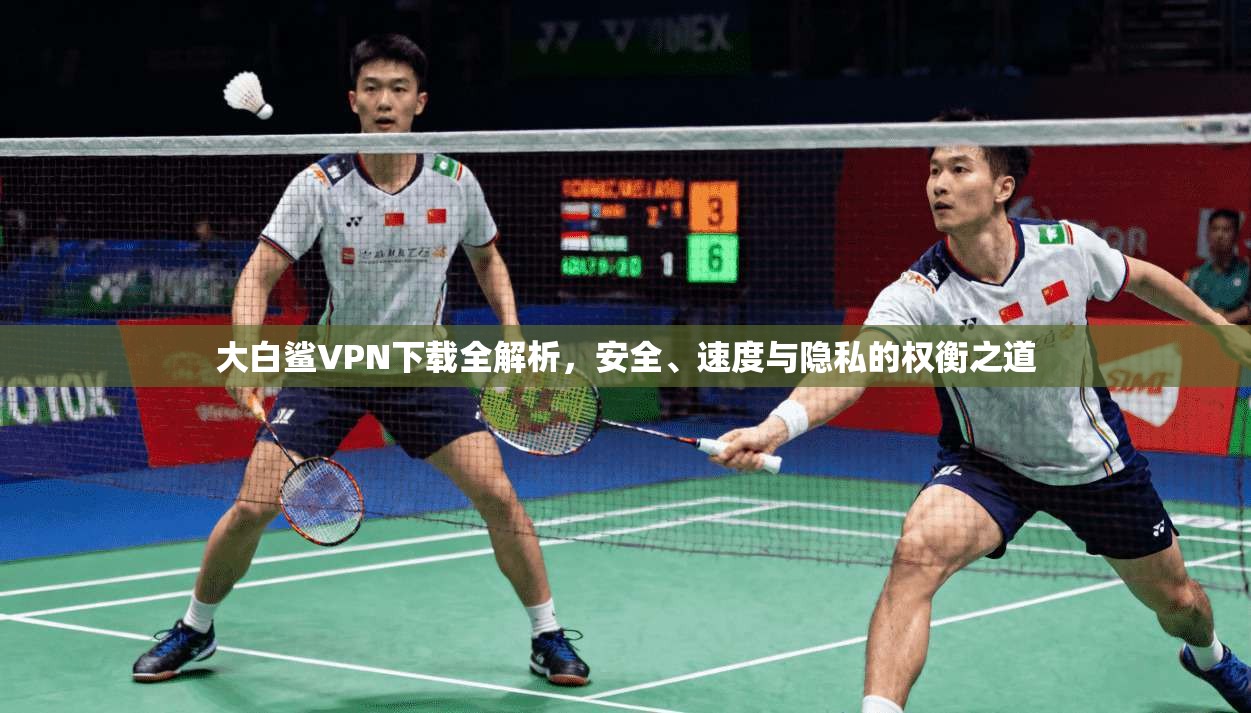 大白鲨VPN下载全解析，安全、速度与隐私的权衡之道