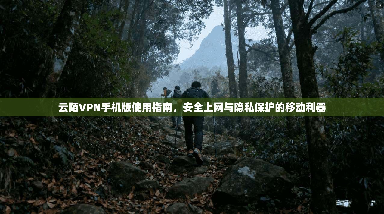 云陌VPN手机版使用指南，安全上网与隐私保护的移动利器
