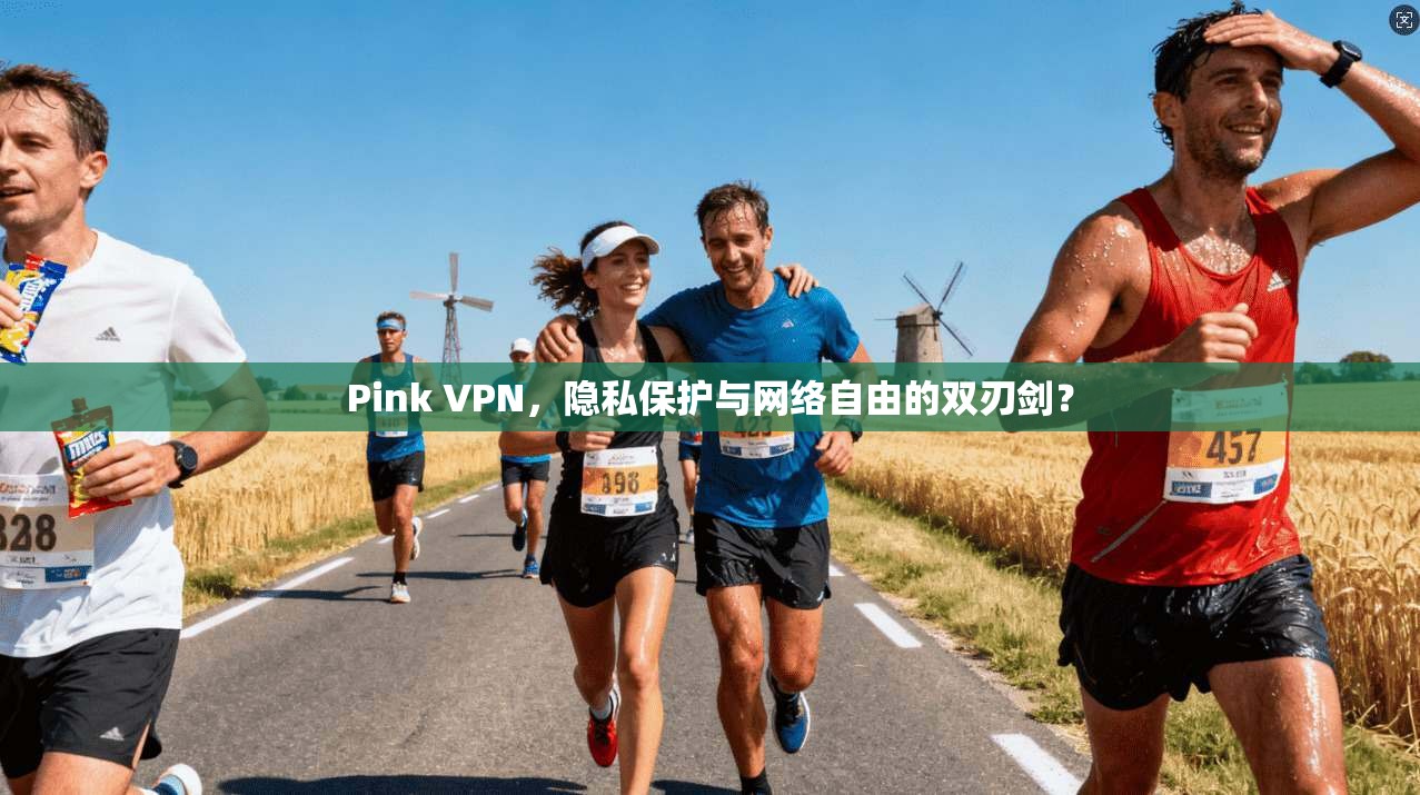 Pink VPN，隐私保护与网络自由的双刃剑？