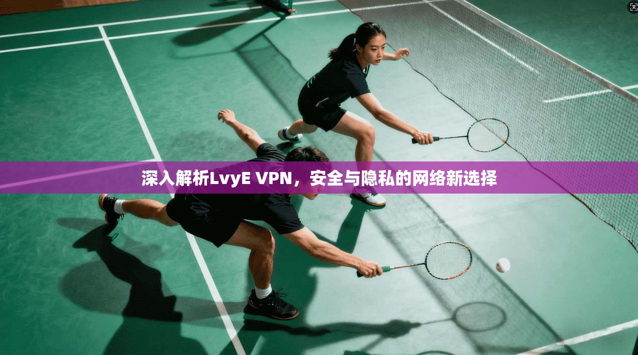 深入解析LvyE VPN，安全与隐私的网络新选择
