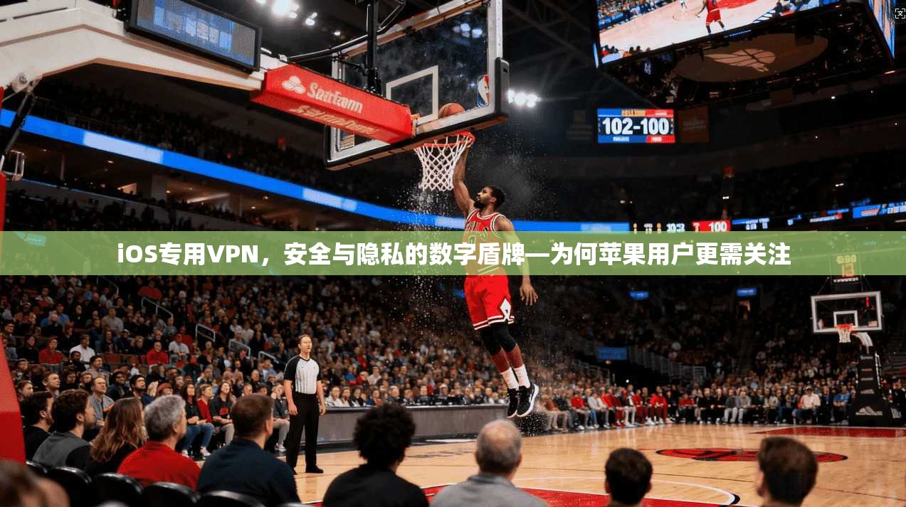 iOS专用VPN，安全与隐私的数字盾牌—为何苹果用户更需关注