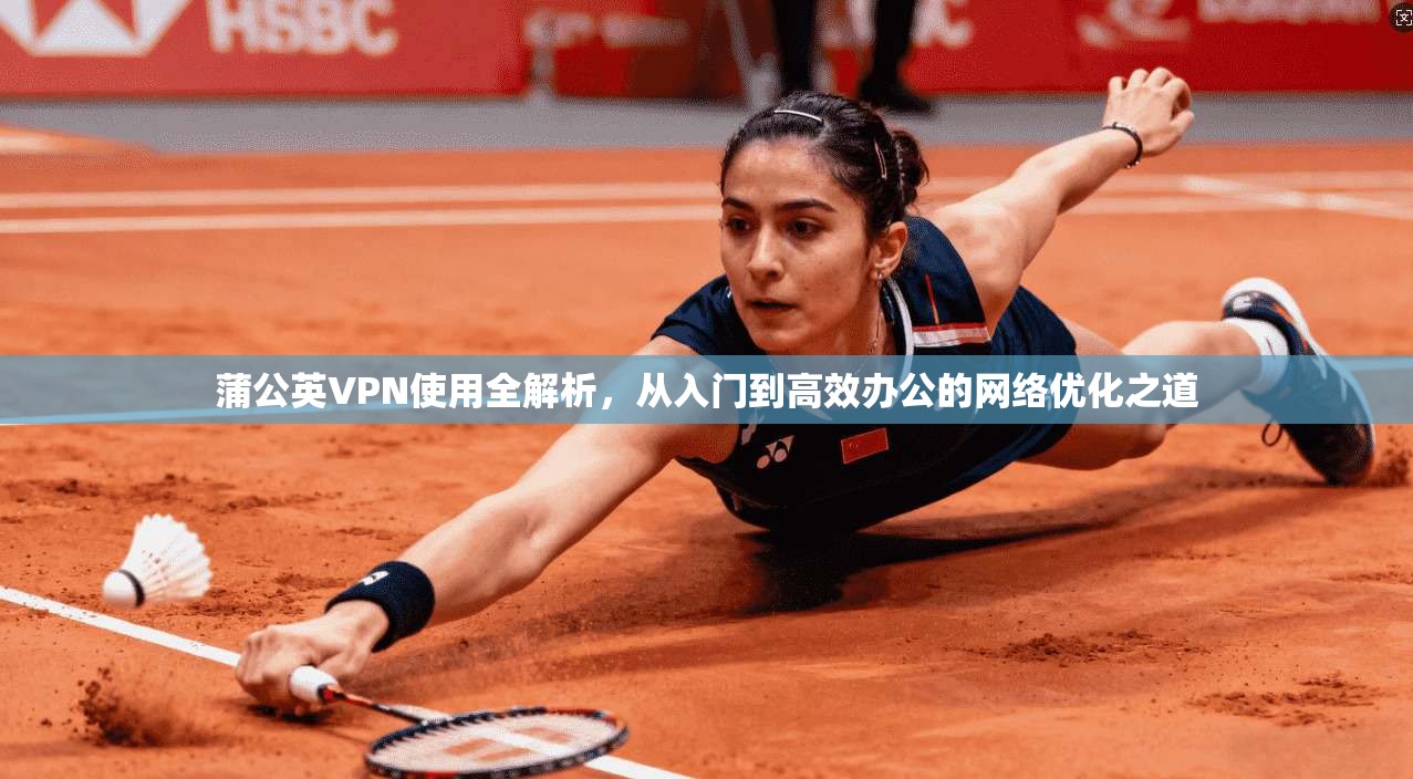 蒲公英VPN使用全解析，从入门到高效办公的网络优化之道