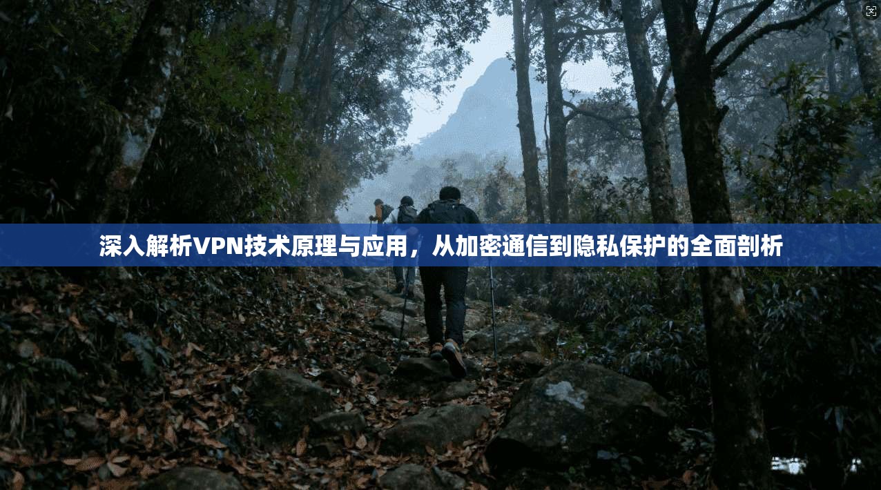 深入解析VPN技术原理与应用，从加密通信到隐私保护的全面剖析