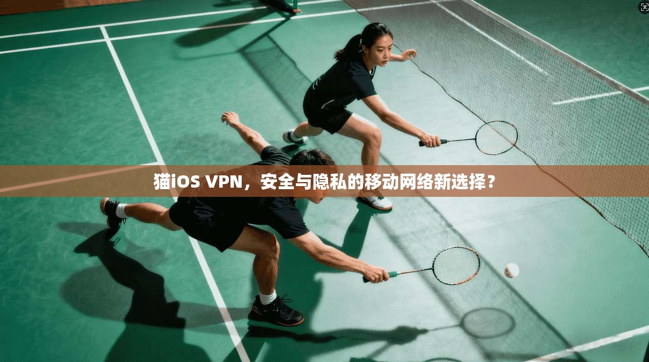 猫iOS VPN，安全与隐私的移动网络新选择？