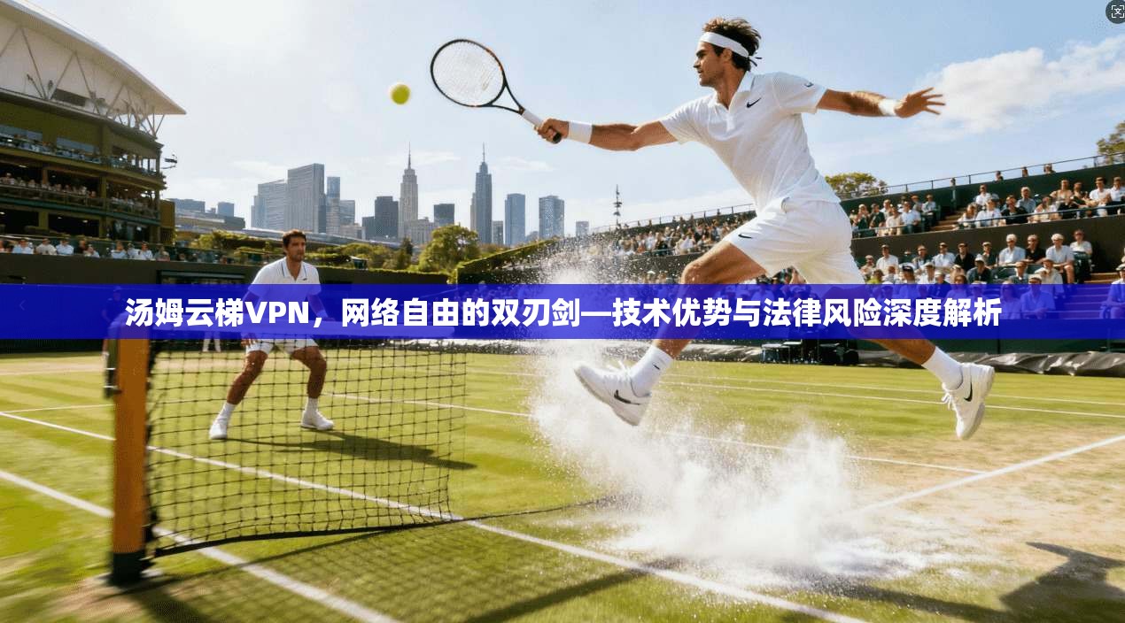 汤姆云梯VPN，网络自由的双刃剑—技术优势与法律风险深度解析