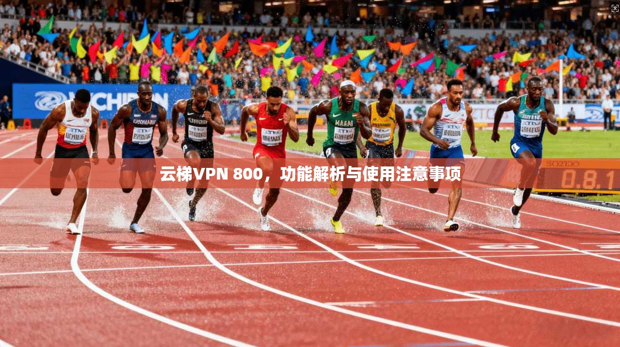 云梯VPN 800，功能解析与使用注意事项