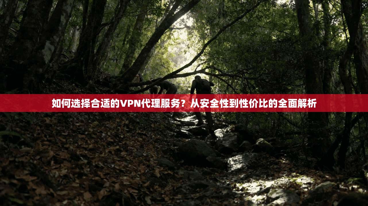 如何选择合适的VPN代理服务？从安全性到性价比的全面解析