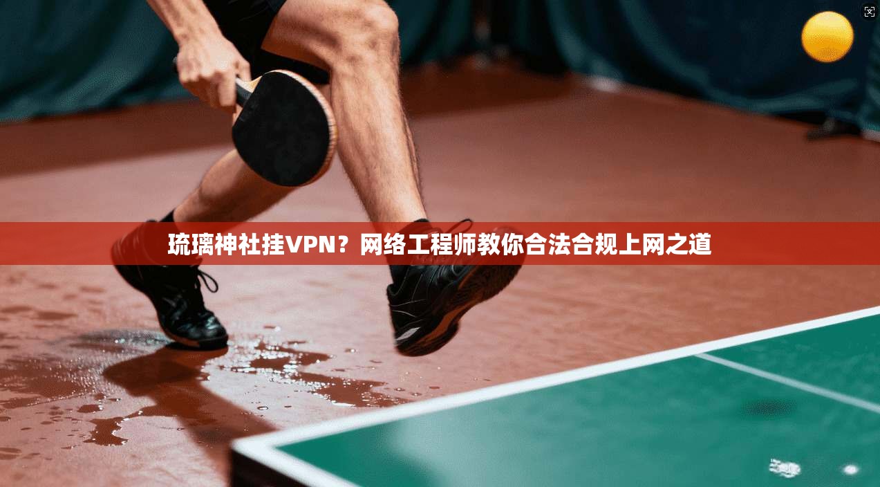 琉璃神社挂VPN？网络工程师教你合法合规上网之道