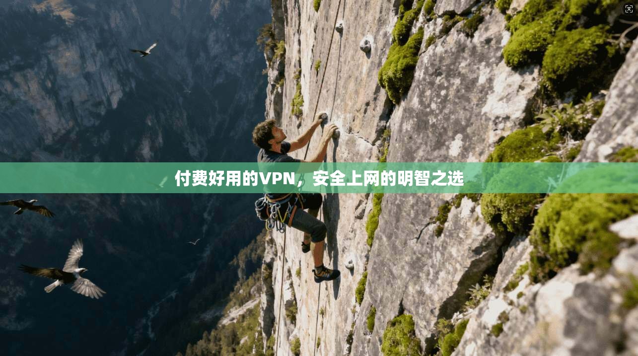 付费好用的VPN，安全上网的明智之选