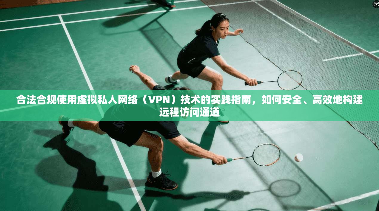 合法合规使用虚拟私人网络（VPN）技术的实践指南，如何安全、高效地构建远程访问通道