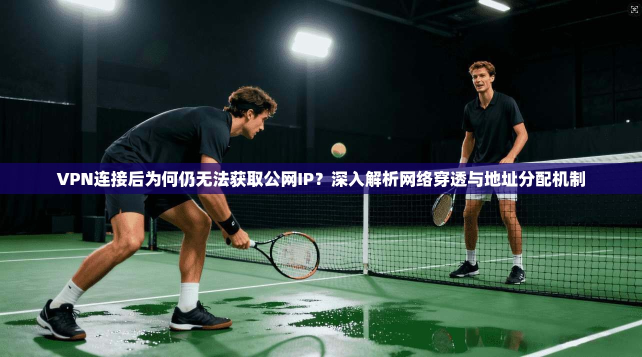 VPN连接后为何仍无法获取公网IP？深入解析网络穿透与地址分配机制