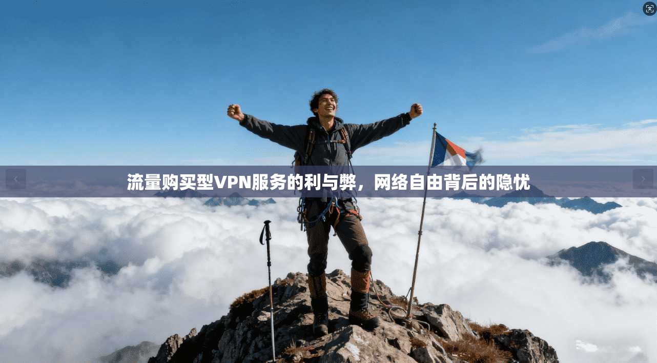 流量购买型VPN服务的利与弊，网络自由背后的隐忧