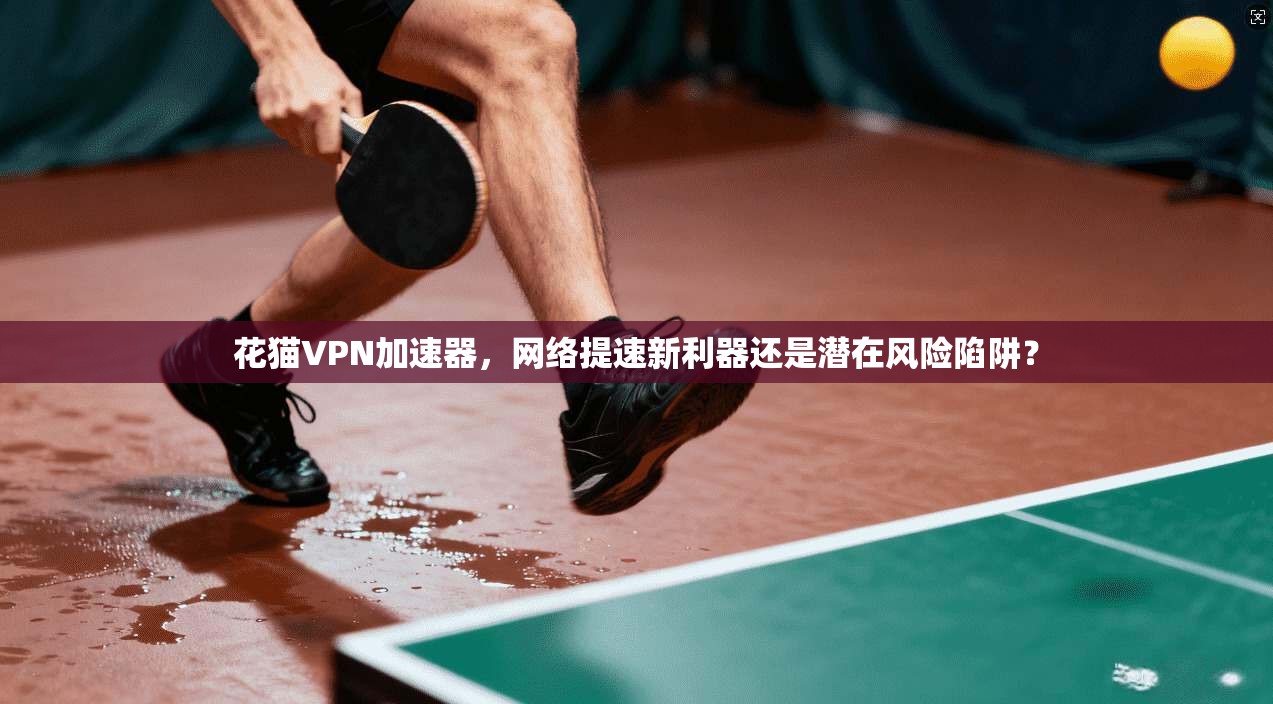 花猫VPN加速器，网络提速新利器还是潜在风险陷阱？