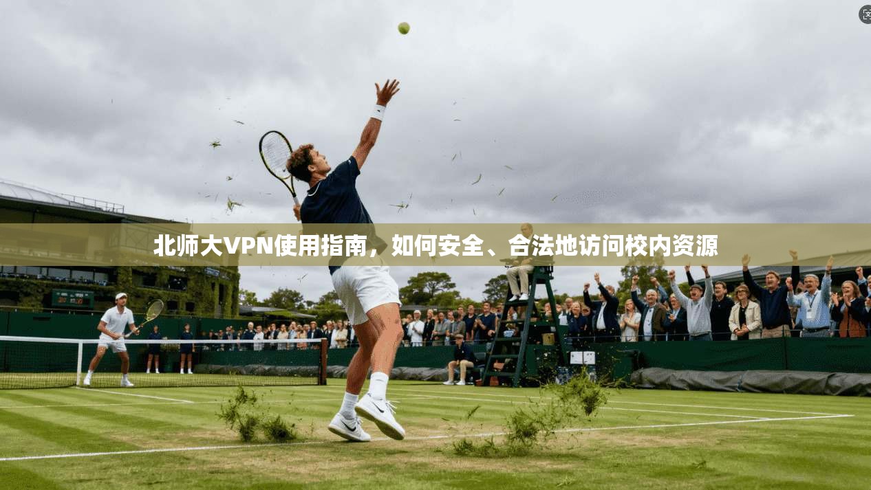 北师大VPN使用指南，如何安全、合法地访问校内资源