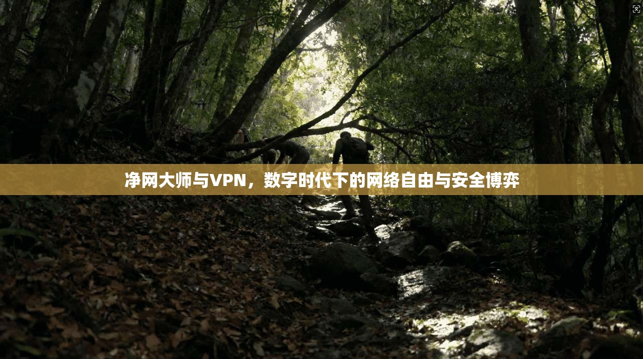 净网大师与VPN，数字时代下的网络自由与安全博弈