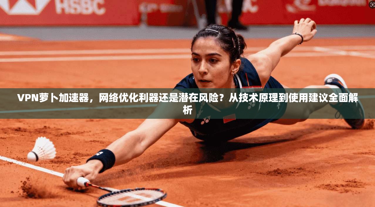 VPN萝卜加速器，网络优化利器还是潜在风险？从技术原理到使用建议全面解析