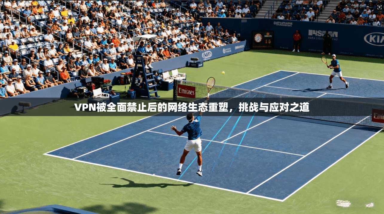 VPN被全面禁止后的网络生态重塑，挑战与应对之道