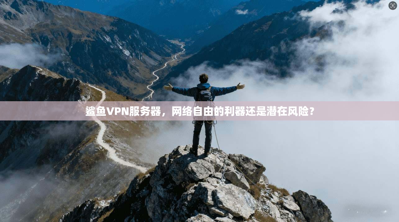 鲨鱼VPN服务器，网络自由的利器还是潜在风险？