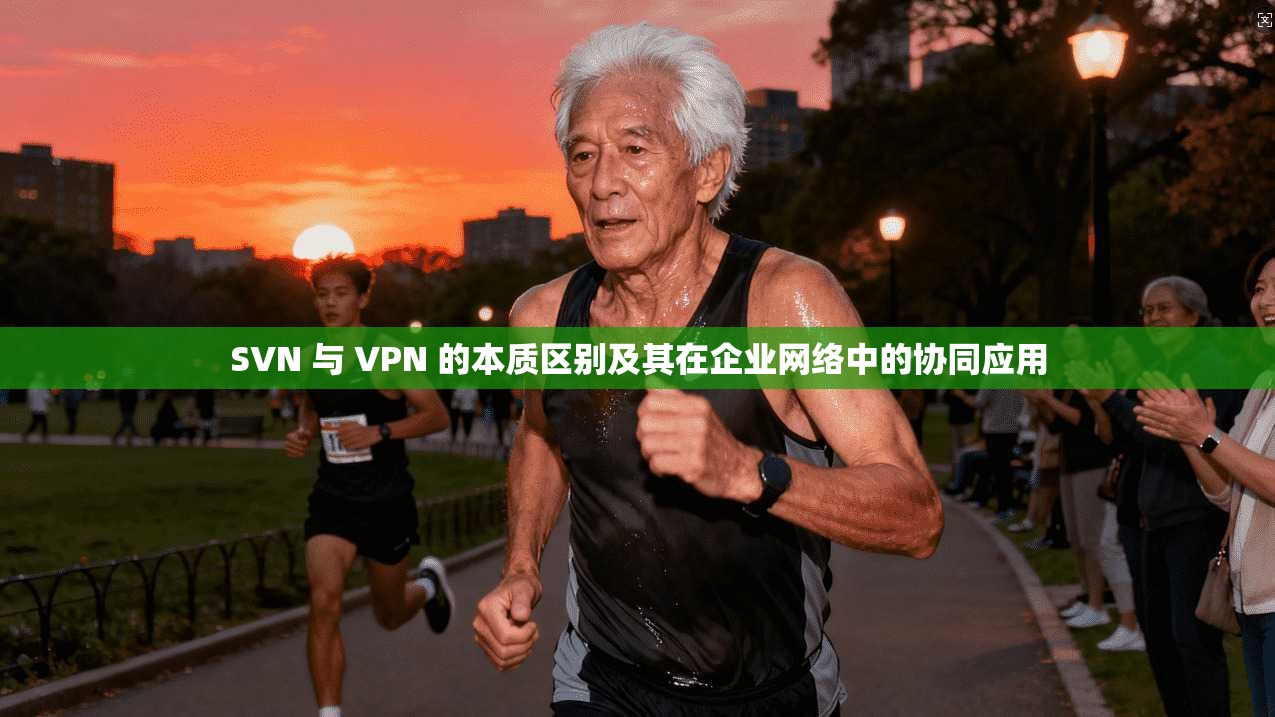 SVN 与 VPN 的本质区别及其在企业网络中的协同应用