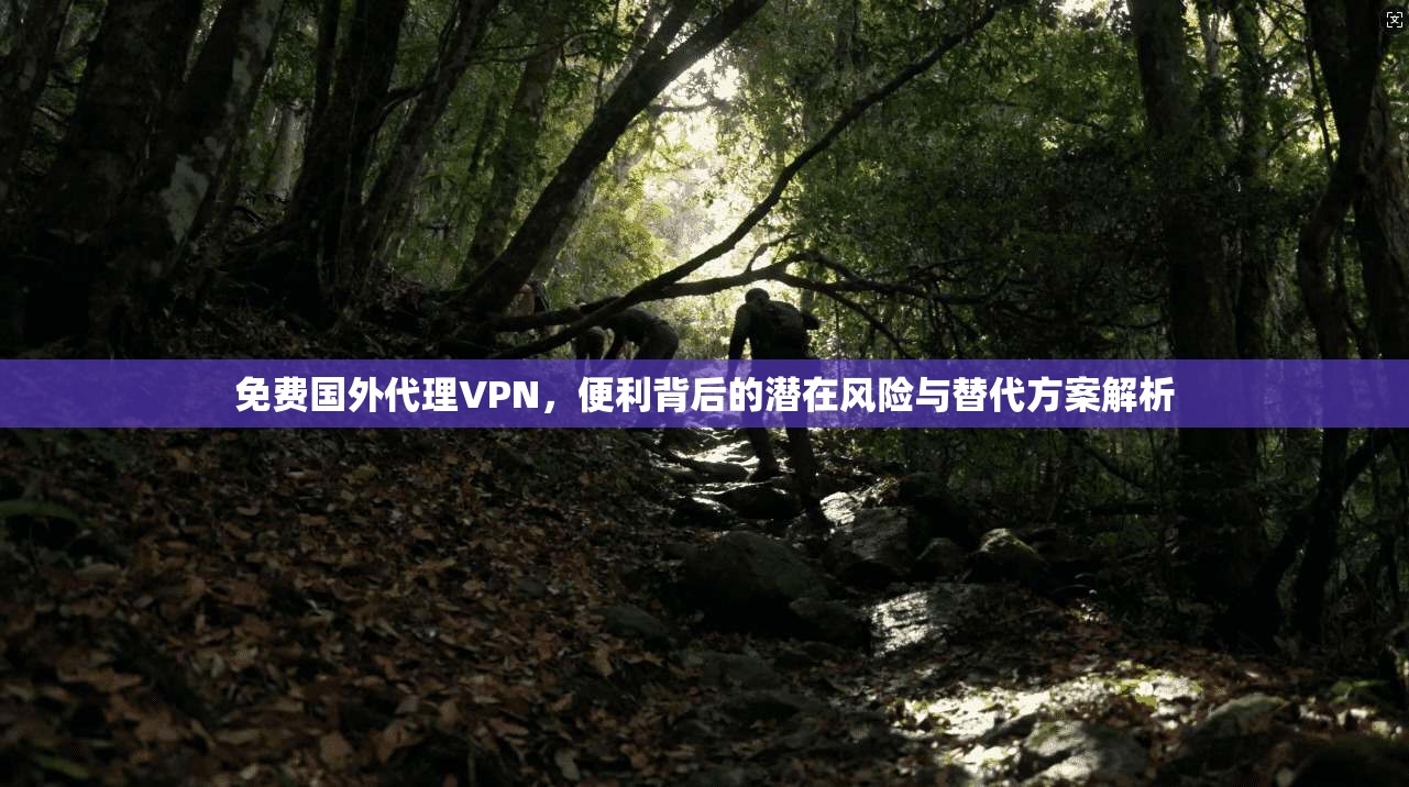 免费国外代理VPN，便利背后的潜在风险与替代方案解析