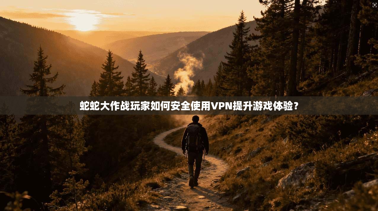 蛇蛇大作战玩家如何安全使用VPN提升游戏体验？
