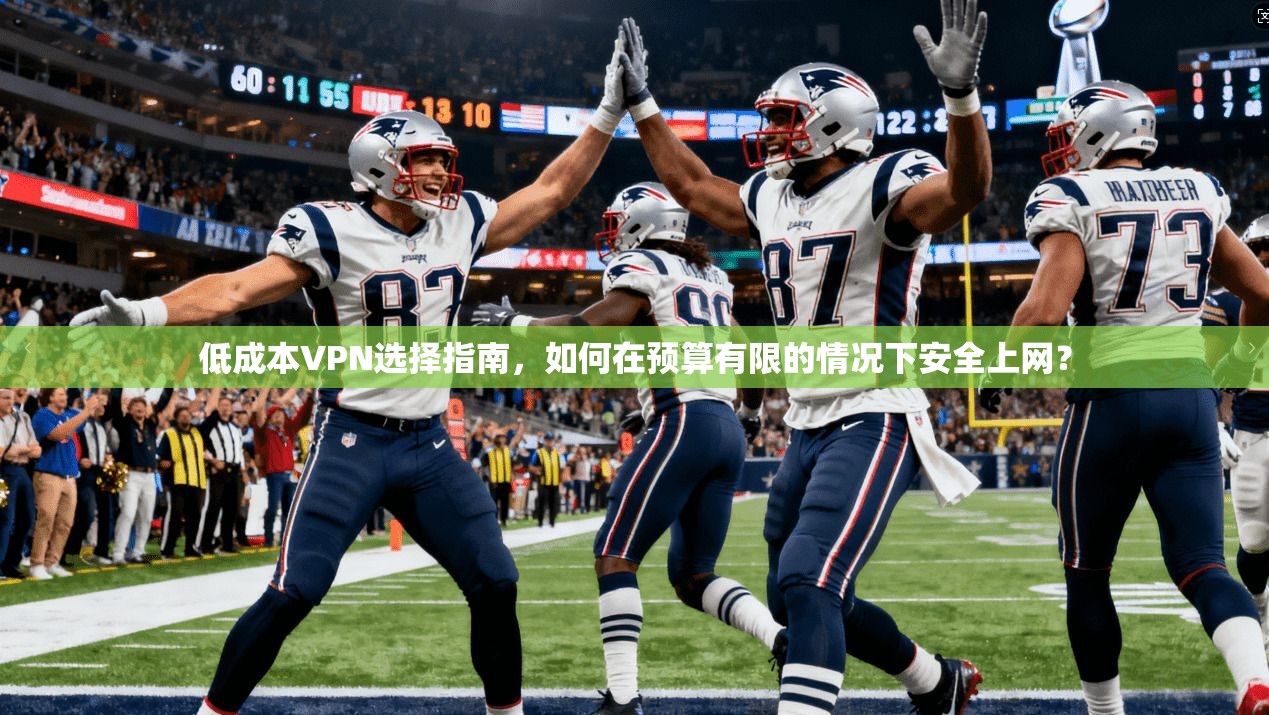 低成本VPN选择指南，如何在预算有限的情况下安全上网？