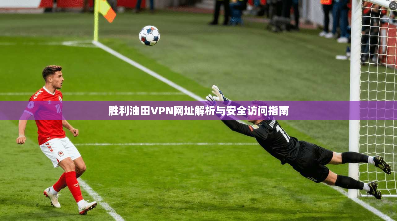 胜利油田VPN网址解析与安全访问指南