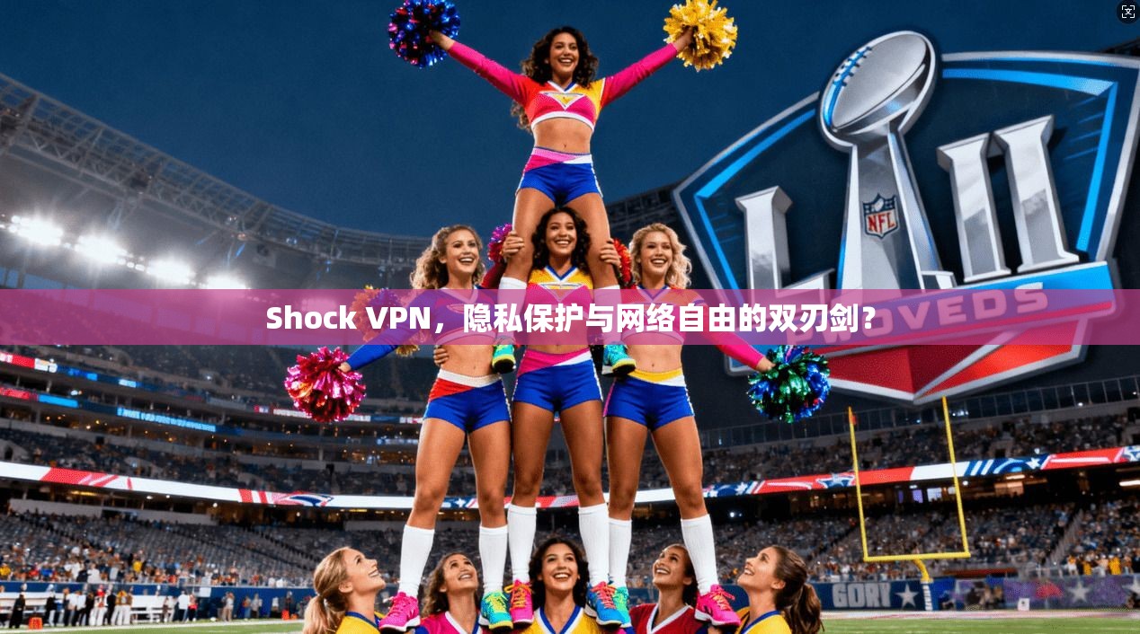 Shock VPN，隐私保护与网络自由的双刃剑？