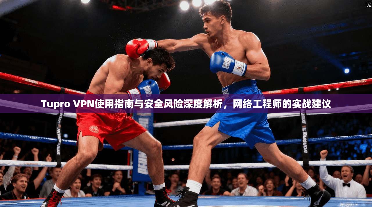 Tupro VPN使用指南与安全风险深度解析，网络工程师的实战建议