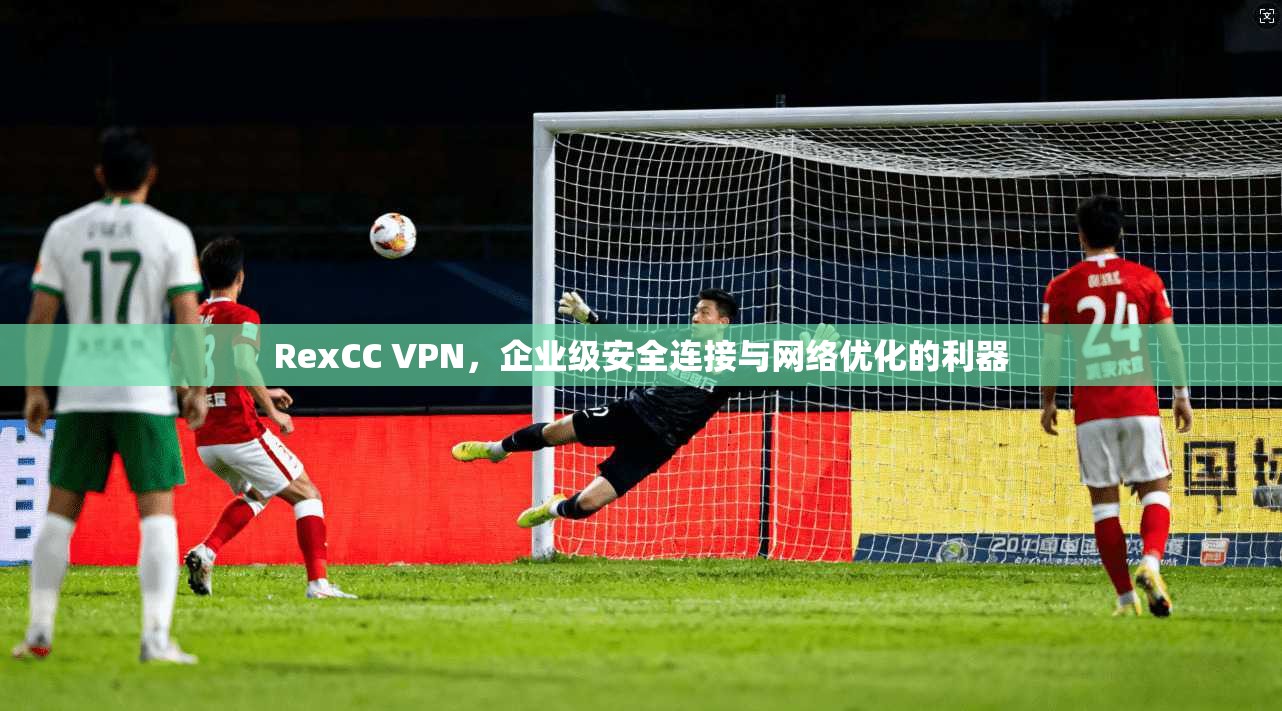 RexCC VPN，企业级安全连接与网络优化的利器