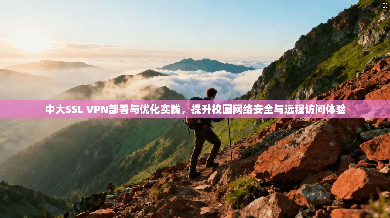 中大SSL VPN部署与优化实践，提升校园网络安全与远程访问体验