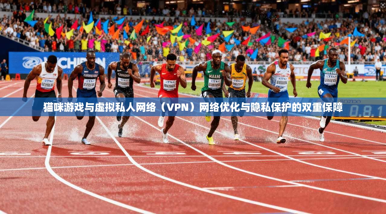 猫咪游戏与虚拟私人网络（VPN）网络优化与隐私保护的双重保障
