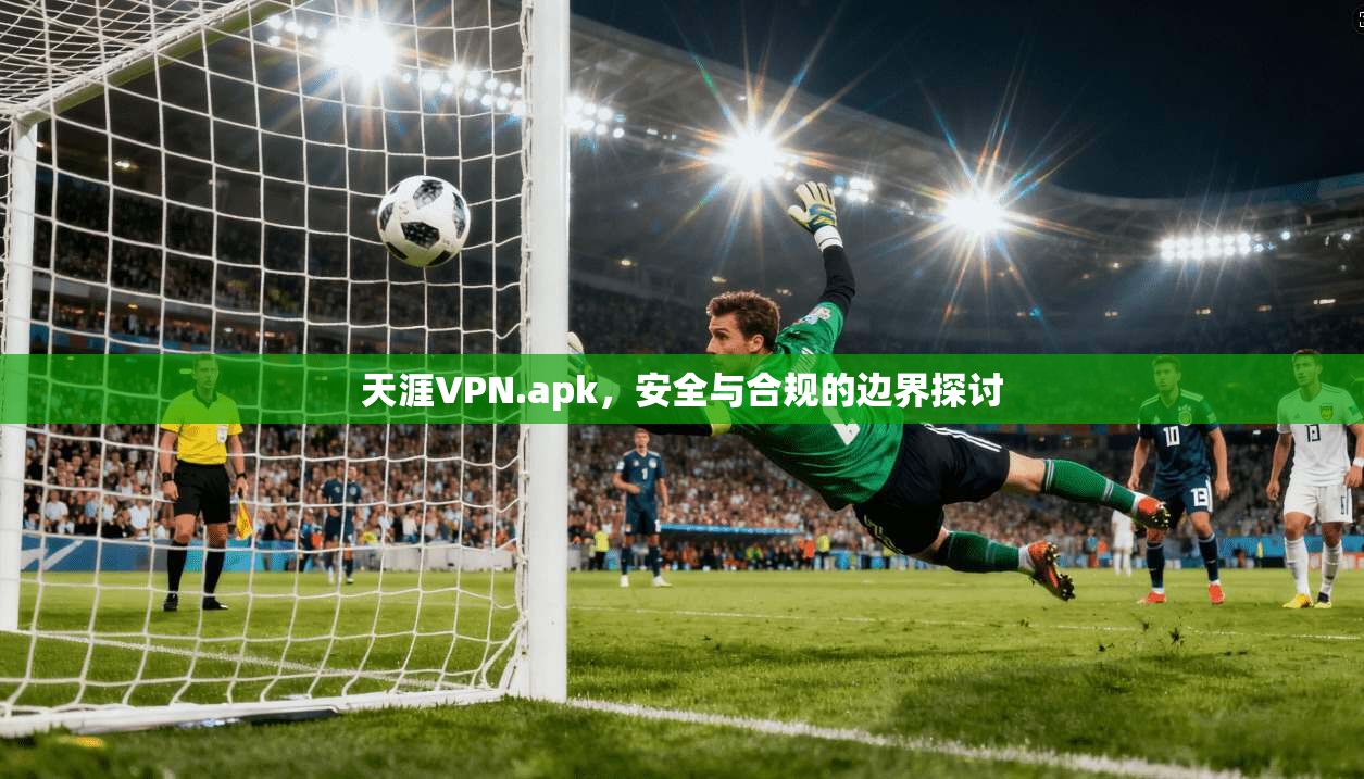 天涯VPN.apk，安全与合规的边界探讨