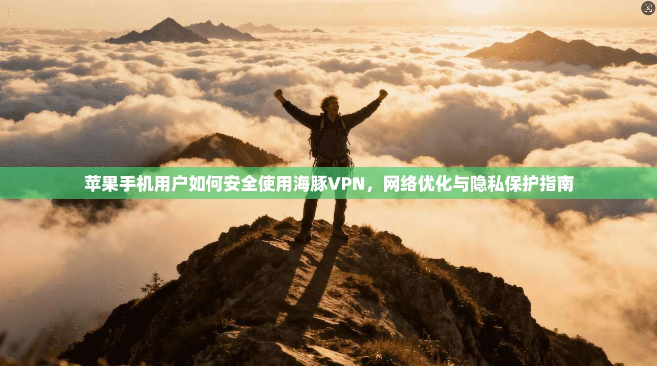 苹果手机用户如何安全使用海豚VPN，网络优化与隐私保护指南