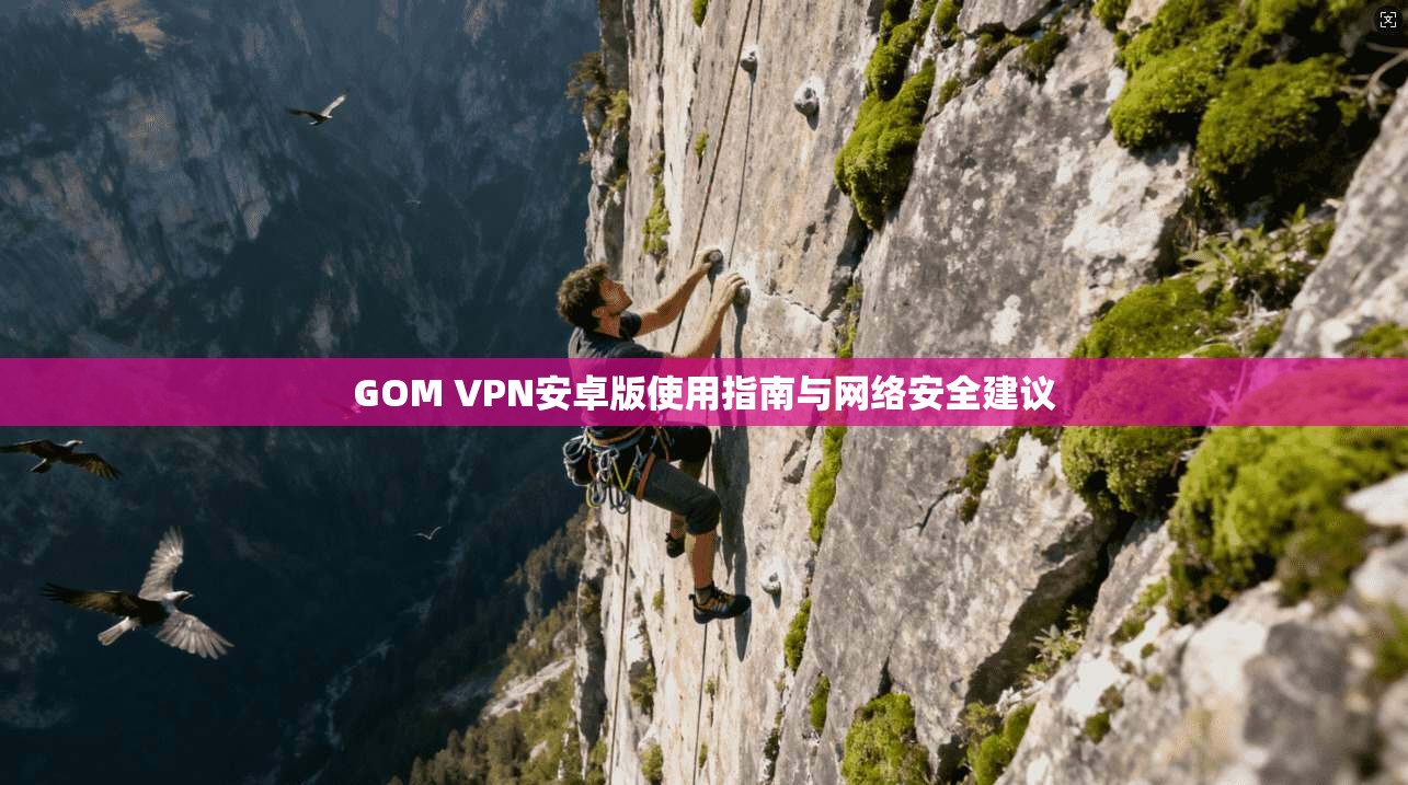 GOM VPN安卓版使用指南与网络安全建议