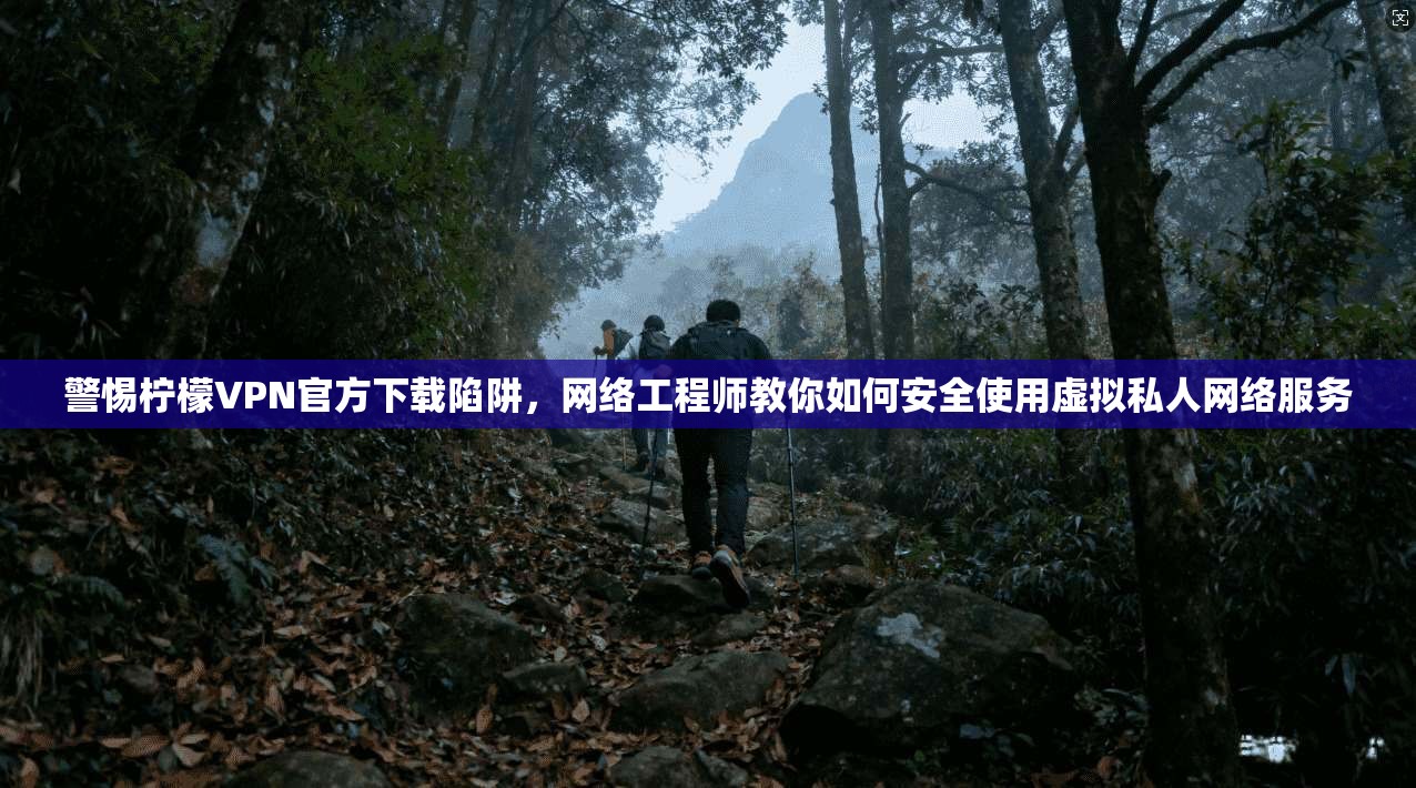 警惕柠檬VPN官方下载陷阱，网络工程师教你如何安全使用虚拟私人网络服务