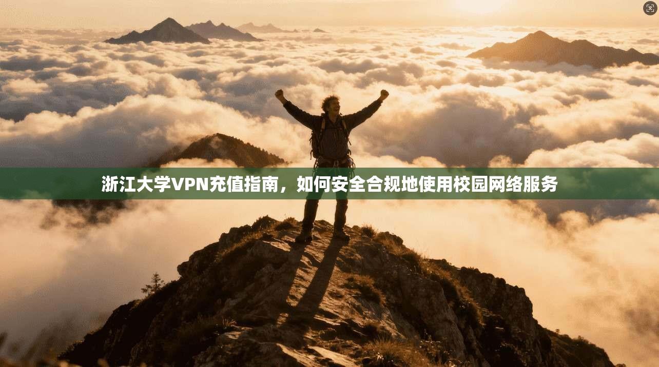 浙江大学VPN充值指南，如何安全合规地使用校园网络服务