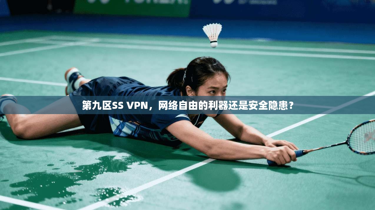 第九区SS VPN，网络自由的利器还是安全隐患？