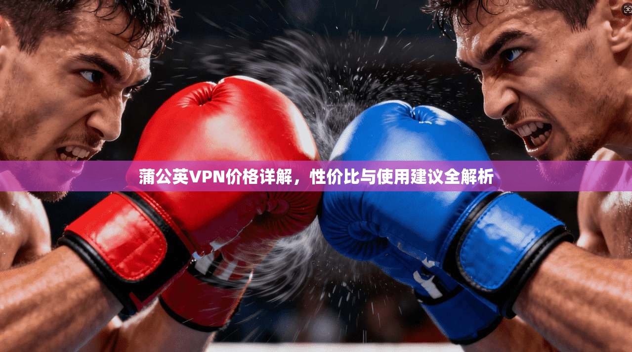 蒲公英VPN价格详解，性价比与使用建议全解析